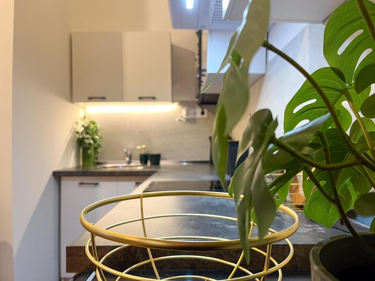 Green Goblin Apartment With Free Private Parking Budapest Eksteriør bilde